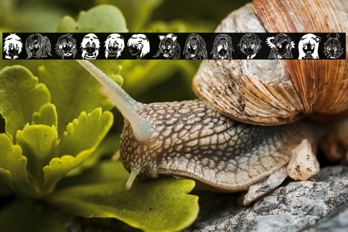 SAO Image Bold Example 3