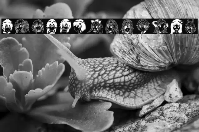 SAO Image Bold Font examples