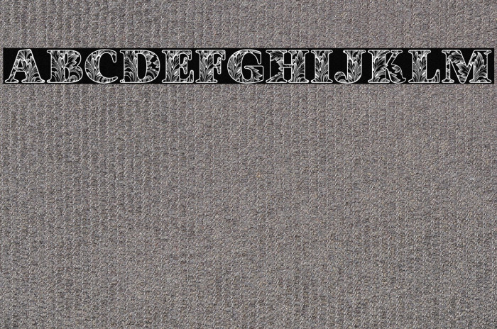 SARAHPERSONALUSE-Regular Example 3