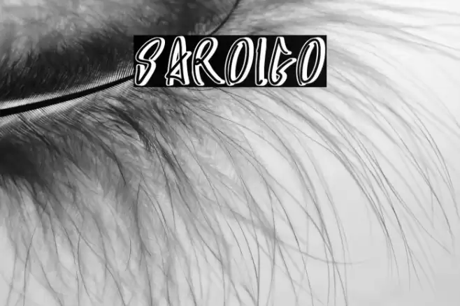 SAROIGO Font examples