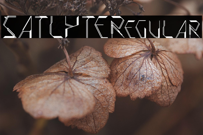 SATLYTERegular Example 1