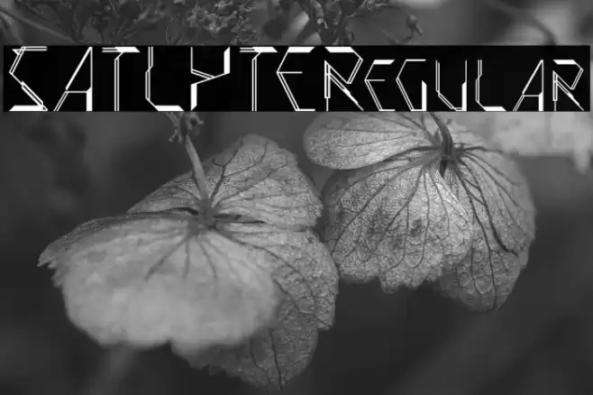 SATLYTERegular Font examples
