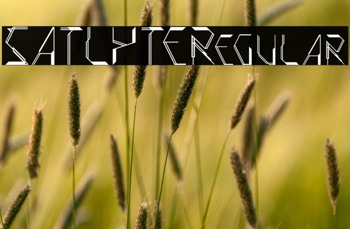 SATLYTERegular Example 2