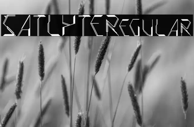 SATLYTERegular Font examples