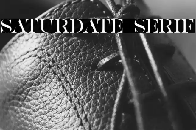 SATURDATE SERIF Font examples