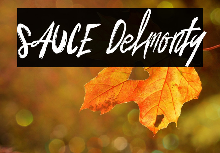 SAUCE Delmonty Example 3