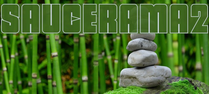 SAUCERAMA2 Example 2