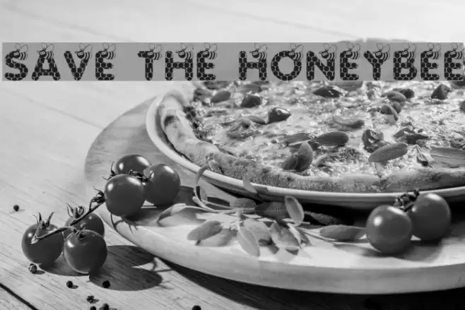 SAVE THE HONEYBEE フォント examples