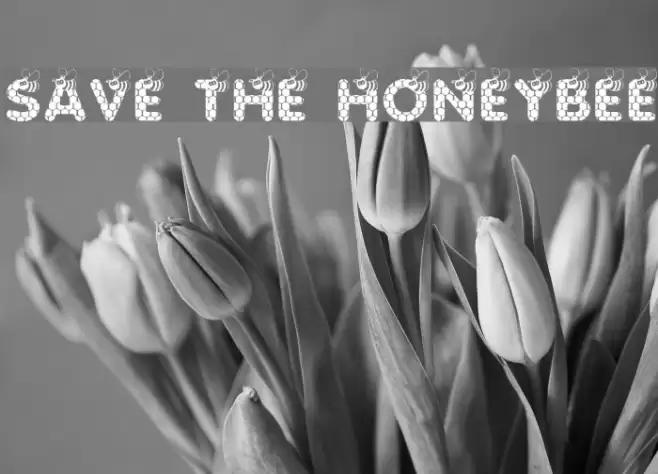 SAVE THE HONEYBEE フォント examples