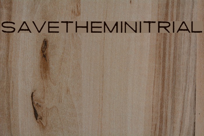 SAVETHEMINI-TRIAL Example 1