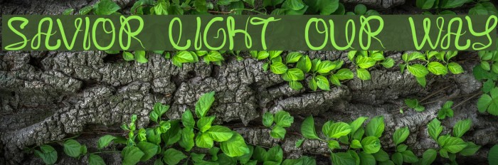 SAVIOR LIGHT OUR WAY Font examples