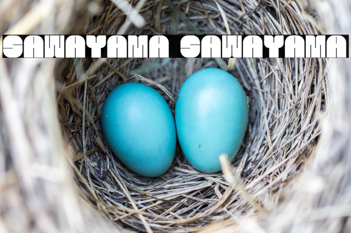 SAWAYAMA SAWAYAMA Example 3