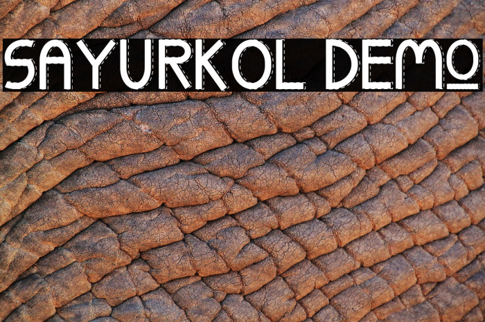 SAYURKOL Demo Font examples