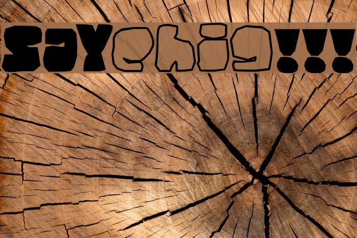 SAYsomething!!! Font examples