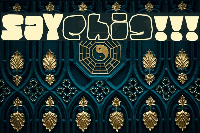 SAYsomething!!! Font examples