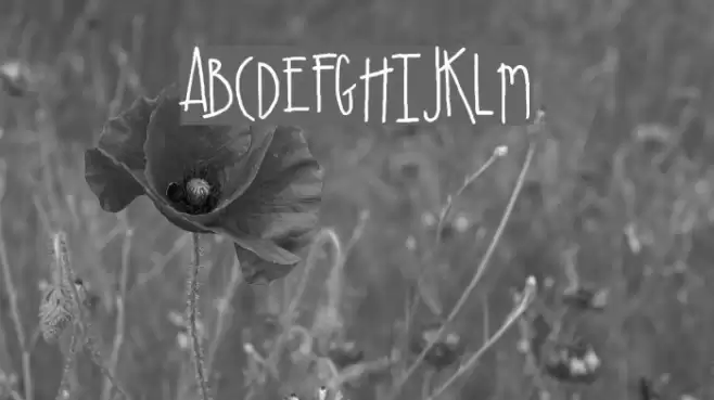 SA_Cacti Font examples