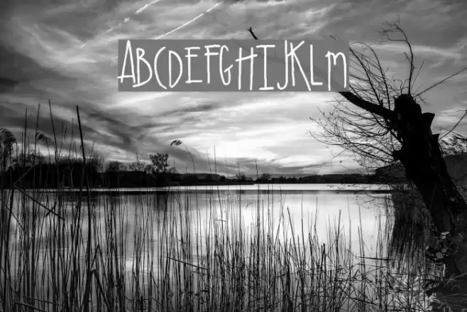 SA_Cacti Font examples