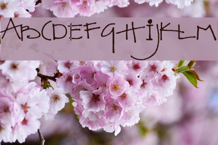SA_Kiss Font examples