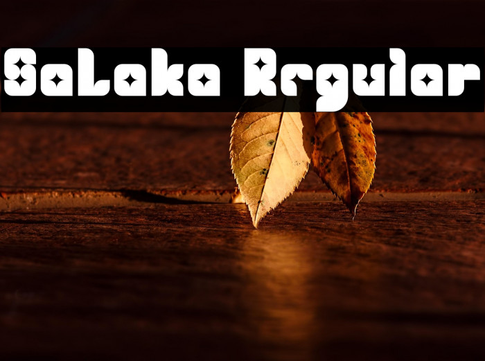SaLaka Regular Example 1