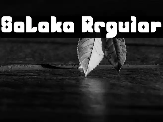 SaLaka Regular Font examples