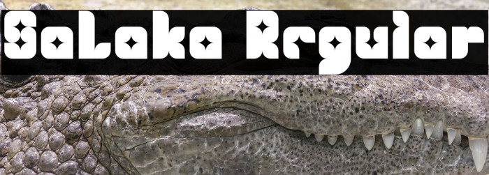 SaLaka Regular Example 2
