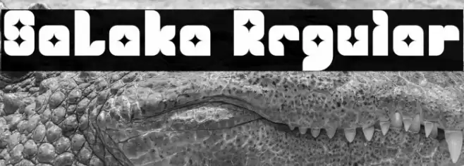 SaLaka Regular Font examples