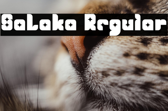 SaLaka Regular Example 3