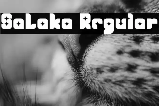 SaLaka Regular Font examples