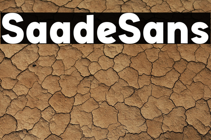 Saade Sans Example 2