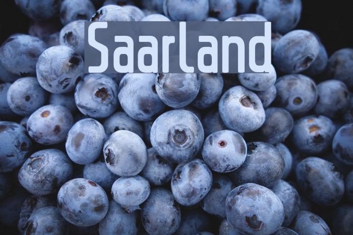 Saarland Font examples