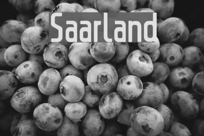 Saarland Font examples
