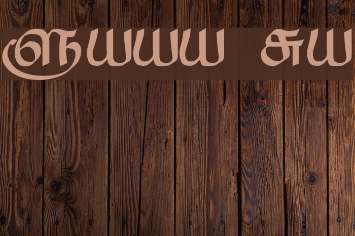 Saavaeri Regular Font examples