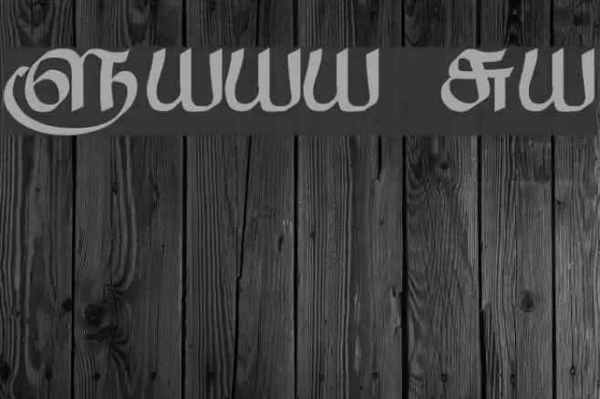 Saavaeri Regular Font examples