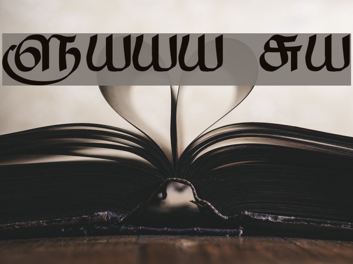 Saavaeri Regular Font examples