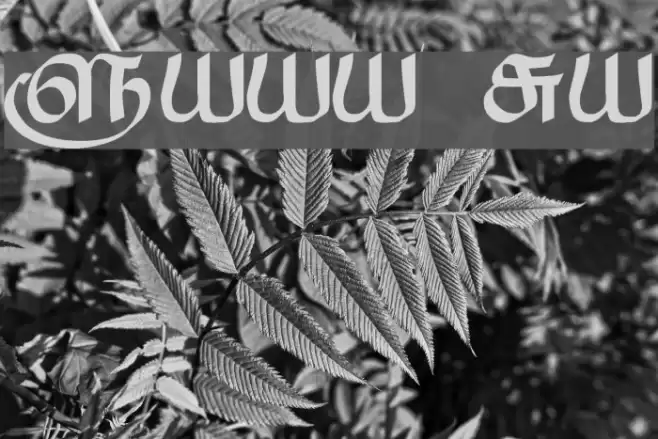 Saavaeri Regular Font examples