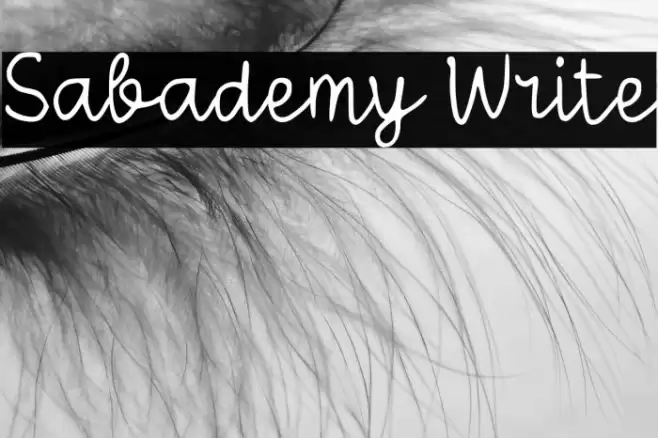 Sabademy Write Polices examples