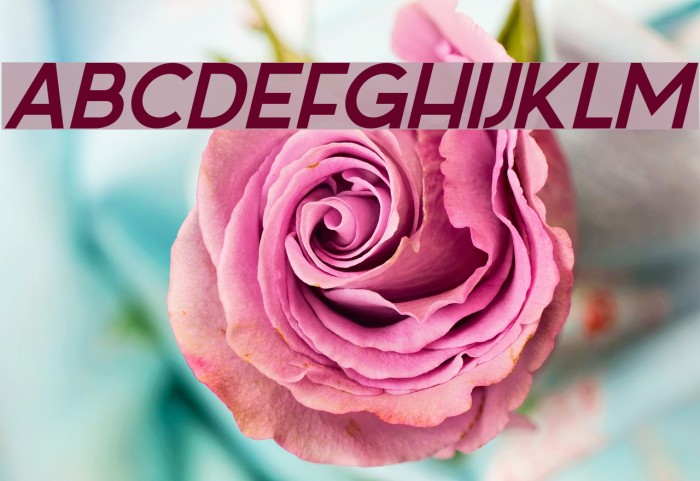 Sabado-Italic Font examples