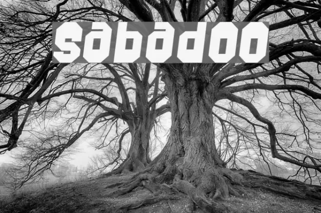Sabadoo Font examples