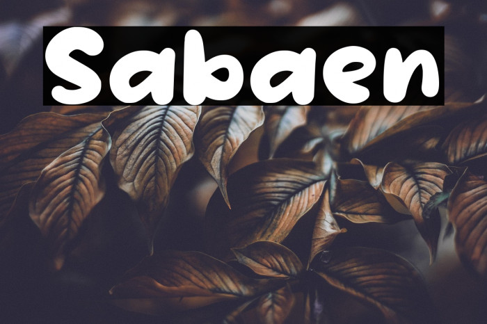 Sabaen Example 3