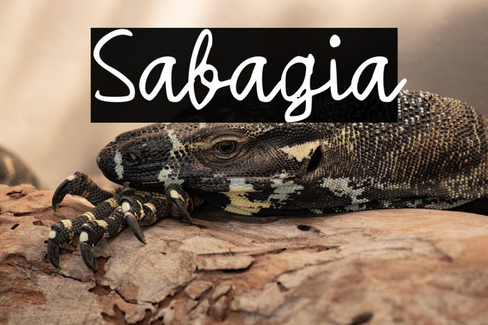 Sabagia Example 1