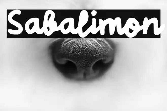 Sabalimon 字体 examples