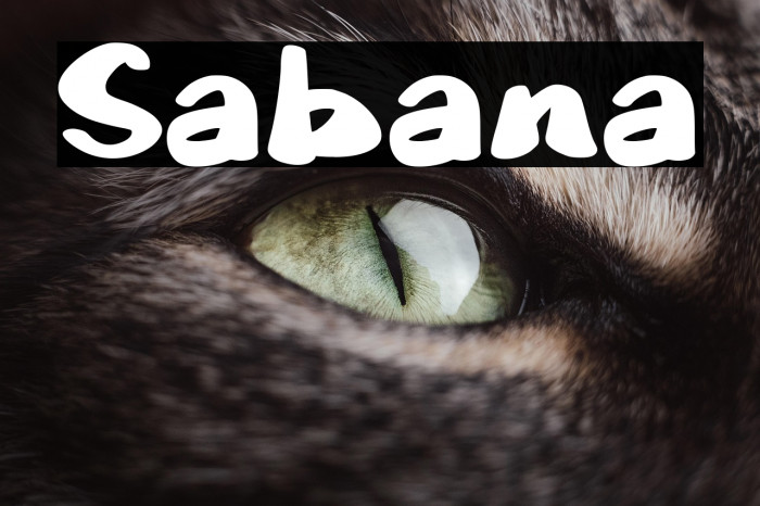 Sabana Example 1