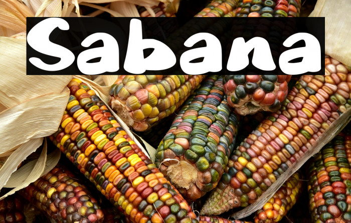 Sabana Example 2