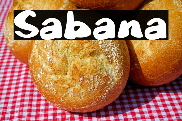 Sabana Example 3