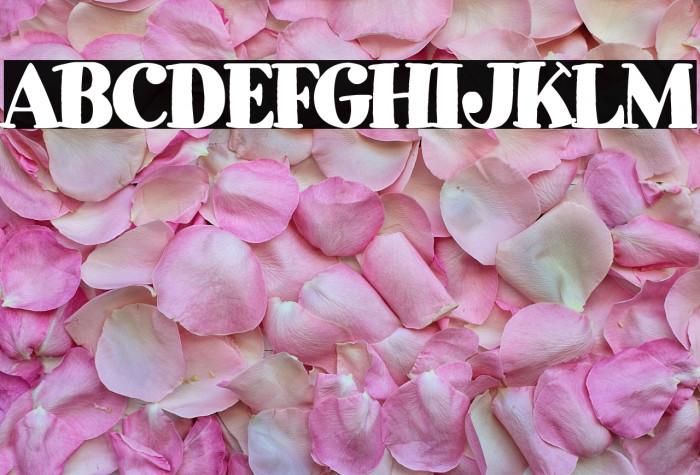 Sabandija Asquerosa Example 1