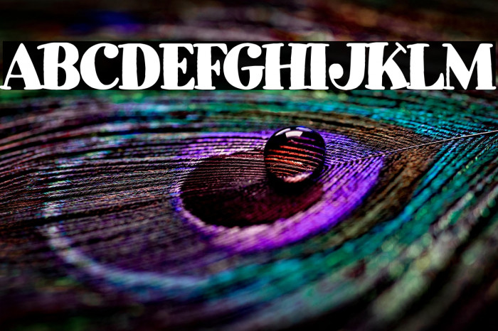 Sabandija Asquerosa Example 2