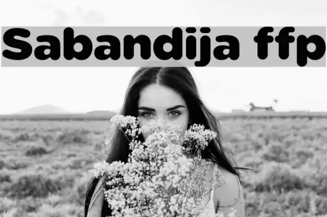 Sabandija ffp Font examples