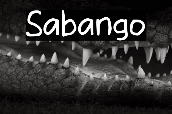 Sabango Example 2
