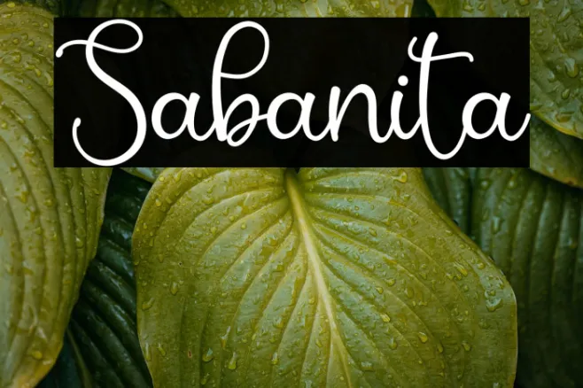 Sabanita Example 1