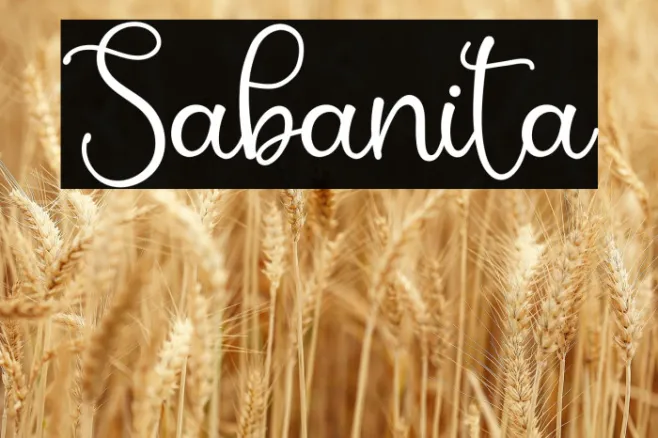 Sabanita Example 2
